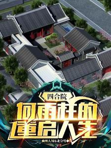 四合院：何雨柱的重启人生